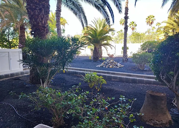 דירה Cozy Near The Dunes