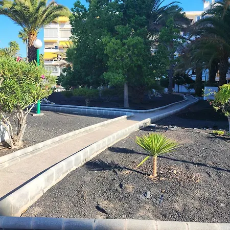 Cozy Near The Dunes Appartement