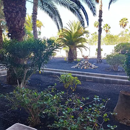 شقة Cozy Near The Dunes