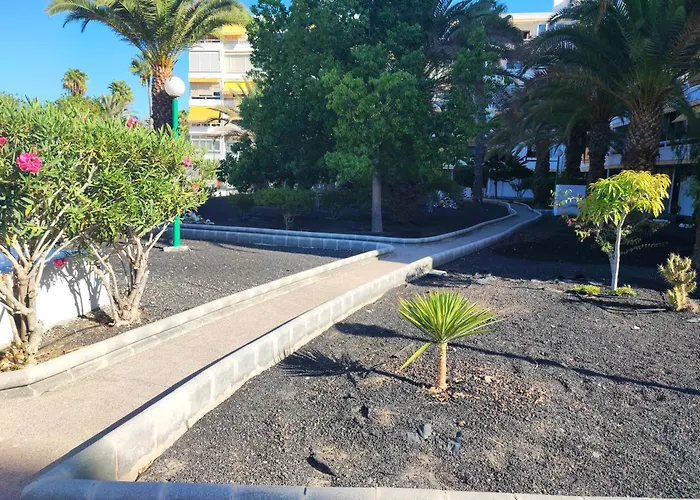 Cozy Near The Dunes 公寓